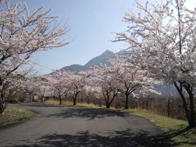Itsubinosato Guest House Yufu Exterior foto