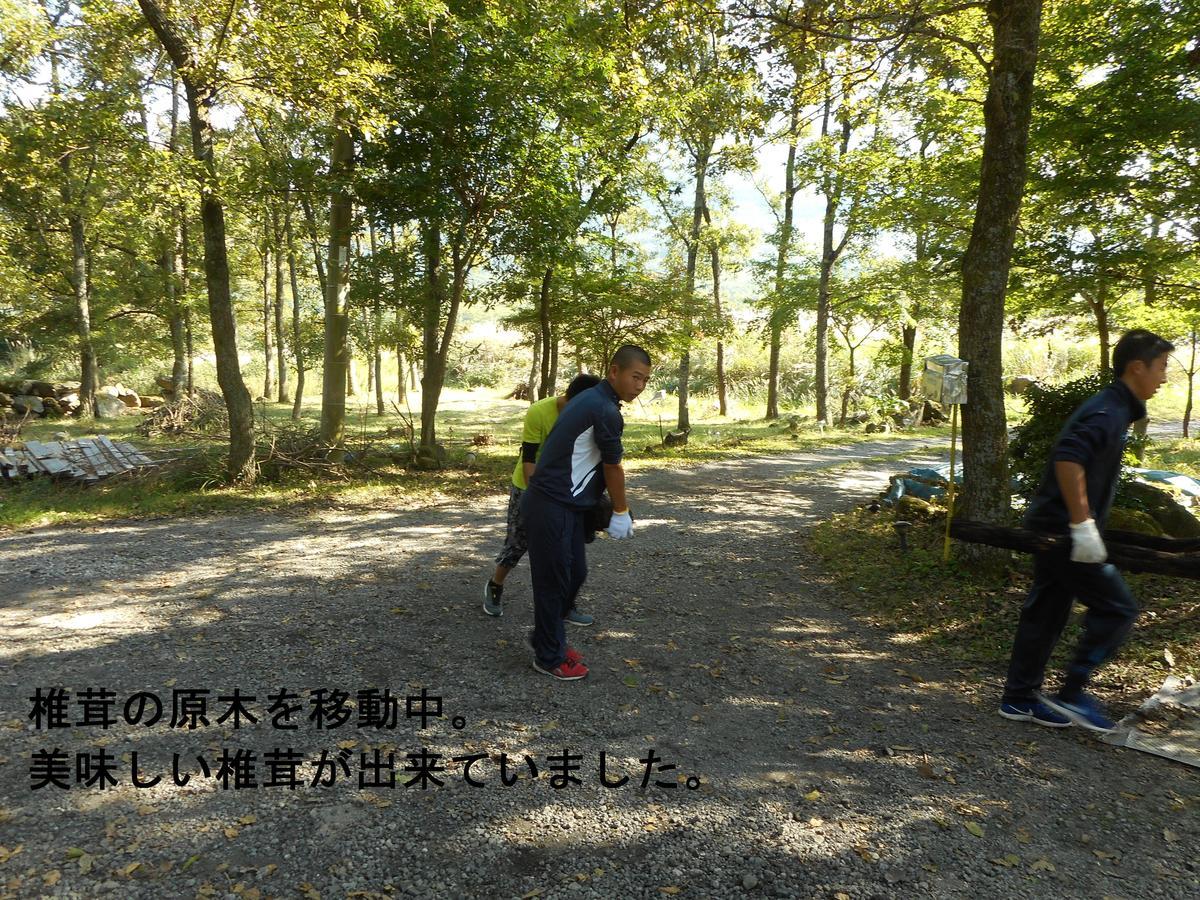 Itsubinosato Guest House Yufu Exterior foto